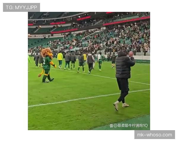 国安赢球背后体系漏洞显现,数据表现受限对赛季走势形成制约 国安赢球背后体系漏洞显现,数据表现受限对赛季走势形成制约